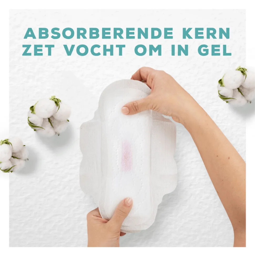 Always Maandverband Bio Cotton Protection Ultra Night met Vleugels 8 stuks
