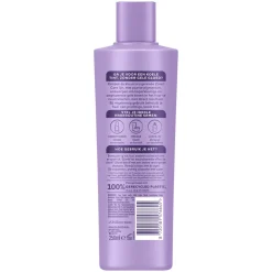Andrélon Shampoo Zilver Care 250 ml