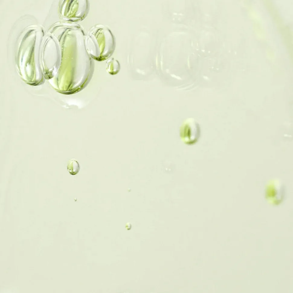 Beauty of Joseon Calming Serum Green tea + Panthenol 30 ml