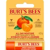 Burts Bees Lippenbalsem Sweet Mandarin blister 4,25 gr