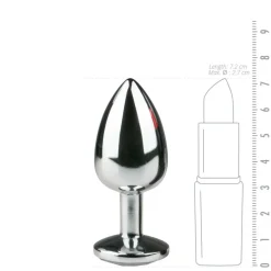 Easytoys Metalen Buttplug Zilver
