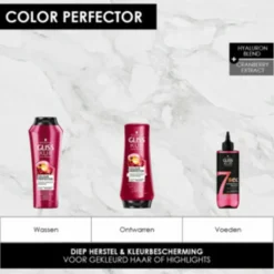 Gliss Shampoo Color Protect & Shine 250 ml