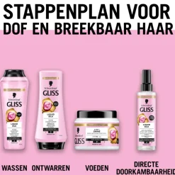 Gliss Shampoo Liquid Silk 250 ml