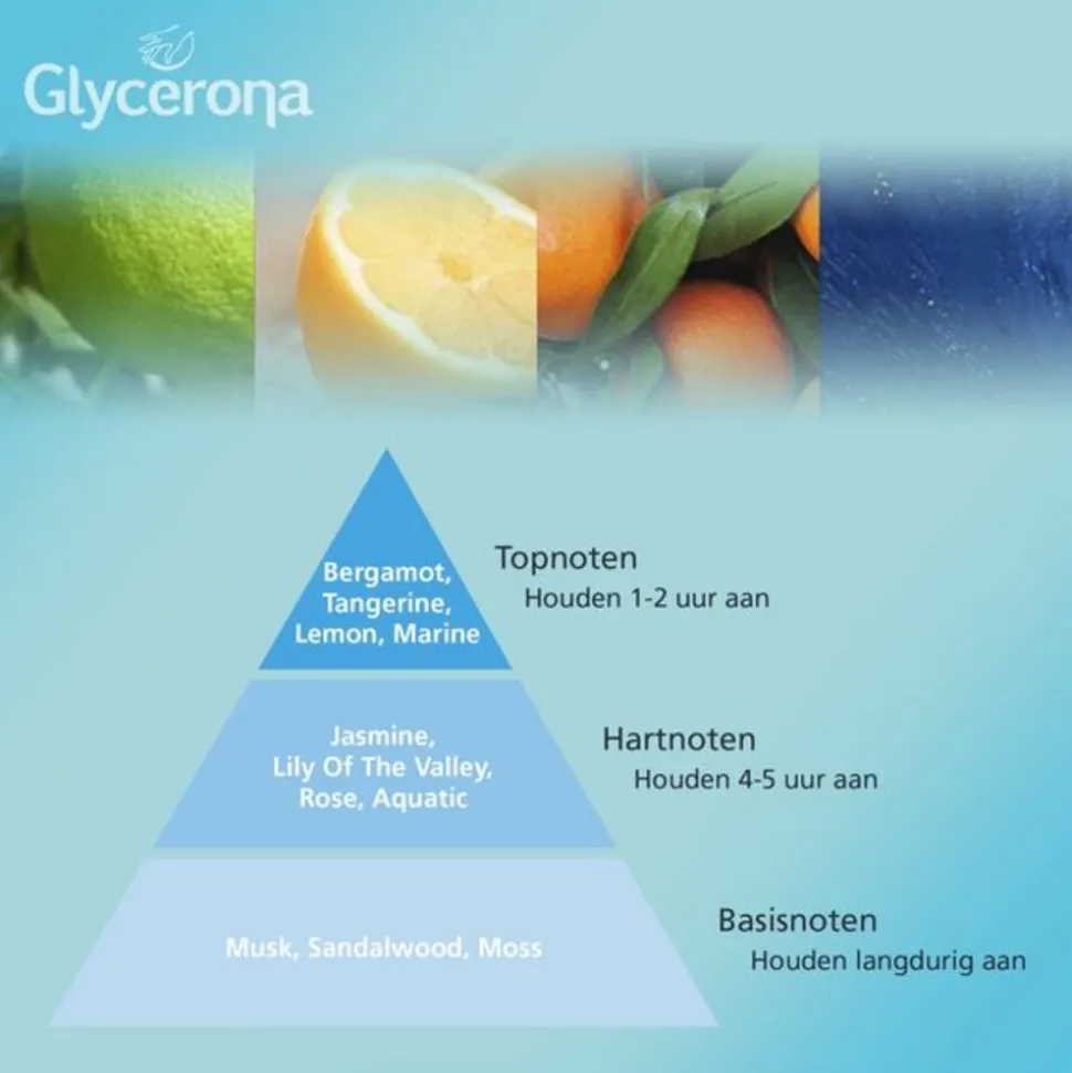 Glycerona Hygiënische Handgel Aloë Vera 100 ml