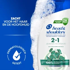 Head & Shoulders 2in1 Jeukende Hoofdhuid 300 ml