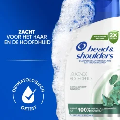 Head & Shoulders Shampoo Jeukende Hoofdhuid 300 ml