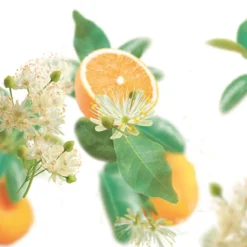 Kneipp Badolie Pure Harmony Sinaasappel - LindebloesemOntspan en kom tot rust met de Kneipp® Badolie Pure Harmony. Het hoge percentage etherische sinaasappelolie en lindebloesemextract in combinatie met de warme oranje kleur van het badwater werkt harmoniserend.Dermatologisch getestNiet parfumvrijPH NeutraalProefdiervrijVeganGeschikt voor alle huidtypen Gevarenaanduidingen Ontvlambaar Milieugevaarlijk Zeer licht ontvlambaar gas. Zeer licht ontvlambare aerosol. Zeer licht ontvlambare vloeistof en damp. Licht ontvlambare vloeistof en damp. Ontvlambare vaste stof. Ontvlambare aerosol. Ontvlambare vloeistof en damp. Zeer giftig voor in het water levende organismen. Zeer giftig voor in het water levende organismen, met langdurige gevolgen. Giftig voor in het water levende organismen, met langdurige gevolgen. Aanvullende informatie Hoe te gebruiken?Schroefdopje 1 keer vullen en badolie toevoegen aan het water (36-38ºC). Duur van het bad: 15-20 min. Dopje omspoelen.Ingrediënten:Polysorbate 20, Aqua (Water), Limonene, Linalool, Citrus Aurantium Dulcis (Orange) Peel Oil, Citrus Aurantium Amara (Bitter Orange) Leaf/Twig Oil, Parfum (Fragrance), Tilia Cordata Flower Extract, Geraniol, Citral, Citronellol, Benzyl Salicylate, Eugenol, Caprylic/Capric Triglyceride, Tocopherol, CI 15985. Ingrediënten Polysorbate 20, Aqua (Water), Limonene, Citrus Aurantium Amara (Bitter Orange) Oil, Parfum (Fragrance), Linalool, Citrus Aurantium Dulcis (Orange) Oil, Tilia Cordata Flower Extract, Citronellol, Benzyl Benzoate, Geraniol, Farnesol, Eugenol, Citral, Tocopherol, CI 15985. Bevat geen:conserveringsmiddelen Fabrikant informatie Merk: Kneipp Ean: 4008233068428 Artikel: 043-107 Fabrikant gegevens: Kneipp Adres: Vliegend Hertlaan 49 3526 KT Utrecht Nederland Contactgegevens: Tel: 030 281 3300 Email: [email protected] Website: https://www.kneipp.com Reviews Schrijf jouw review Hoe controleren en plaatsen wij reviews? Plein plaatst enkel reviews van klanten en personen die het product daadwerkelijk gebruikt hebben, ook wanneer deze negatief of neutraal is. Voordat de review geplaatst wordt controleren we handmatig of deze écht is en voldoet aan onze reviewvoorwaarden. Wanneer het product op Plein gekocht is vermelden we dat bij de review. Plein betaalt niet voor reviews, wanneer een reviewer door een andere partij is vergoed staat dit erbij vermeld. Door Elien op 1 september 2022 | Heeft dit product gekocht Deze review is geschreven bij product Kneipp Badolie Soft Skin Amandelbloesem 100 ml Verrukkelijke badolie met heerlijke geur en lekkere olie geen Super lekkere badolie Oorspronkelijk geplaatst op plein.nl Door Lydia Maria op 13 mei 2020 | Heeft dit product gekocht Deze review is geschreven bij product Kneipp Badolie New Energy Rozemarijn 100 ml Zalig badmoment met deze olie Lekker genieten Heerlijke geur Super zacht en voedend voor de huid Mag ietsje beterkoop daar je in verhouding meer verbruikt dan badcreme of badschuim Heerlijk relaxen en tegelijk je huid laten verwennen met deze badolie van Kneipp Oorspronkelijk geplaatst op plein.nl Door Morvenna op 17 december 2014 | Heeft dit product gekocht Deze review is geschreven bij product Kneipp Badolie Relaxing Lavendel 100 ml Lekkere badolie, vooral in de winter als het koud is, kan je heerlijk ontspannen. Al een paar jaar mijn favoriet. Oorspronkelijk geplaatst op plein.nl Door Els op 11 december 2014 | Heeft dit product gekocht Deze review is geschreven bij product Kneipp Badolie Refreshing Eucalyptus 100 ml Heerlijk na een week drukte Frisse geur Lichaam en geest komen tot rust erg lekkere badolie. Als ik het een weekje druk gehad heb kan ik altijd heerlijk relaxen door de frisse geur. Echt een aanrader Oorspronkelijk geplaatst op plein.nl Bekijk alle reviews Kneipp Badolie Pure Harmony Sinaasappel - Lindebloesem 100 ml