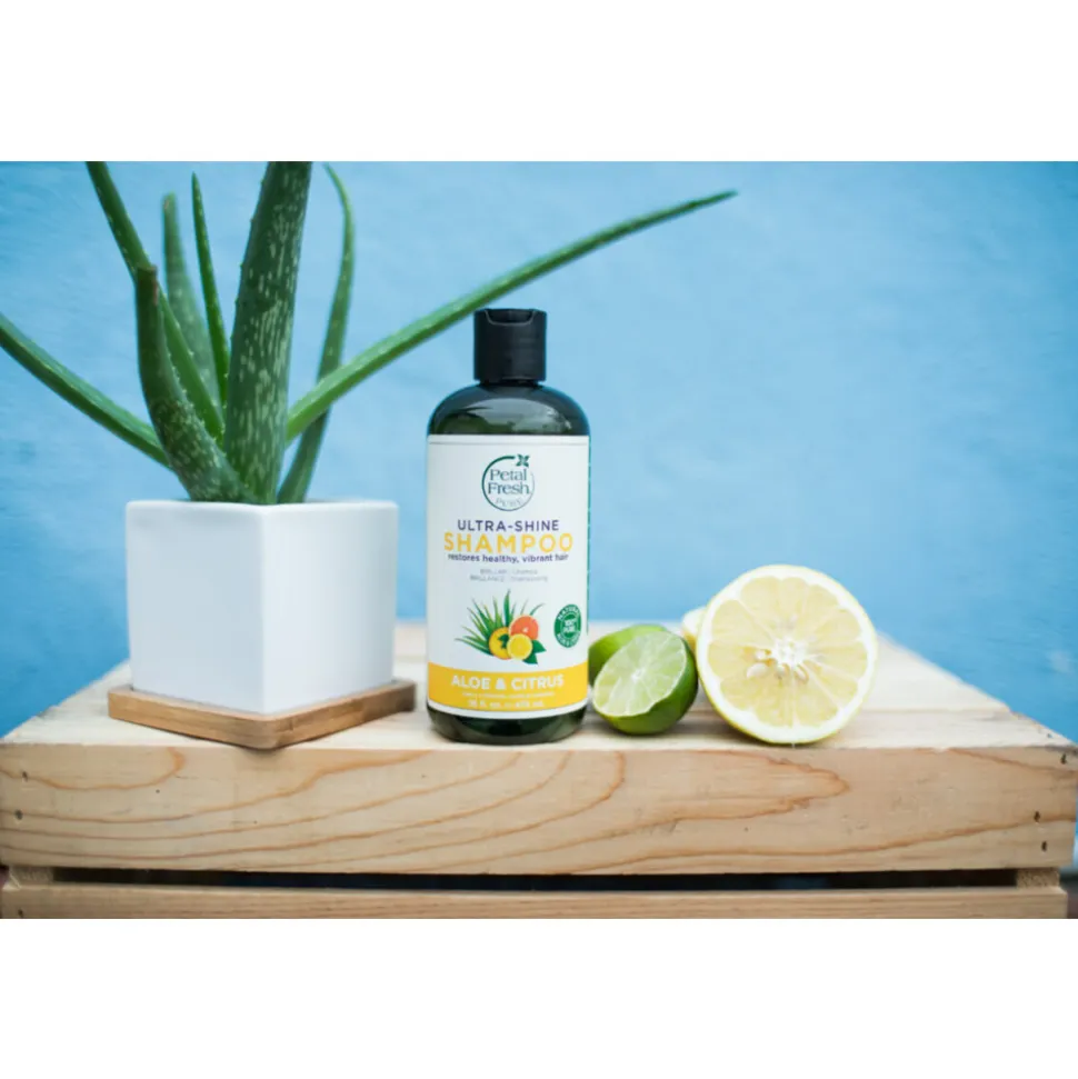 Petal Fresh Aloe & Citrus Shampoo 475 ml