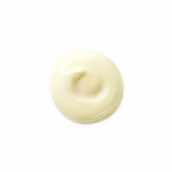 Shiseido Benefiance Wrinkle Smoothing Day Cream SPF25 50 ml