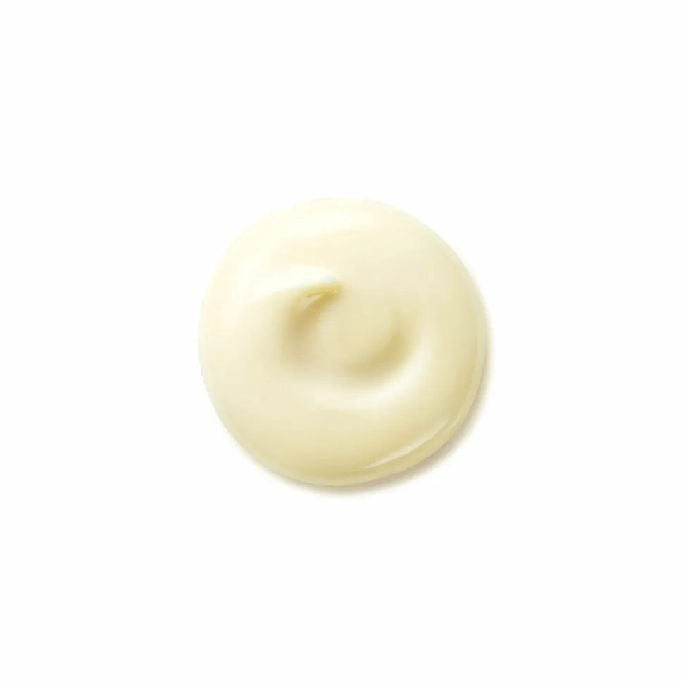 Shiseido Benefiance Wrinkle Smoothing Day Cream SPF25 50 ml