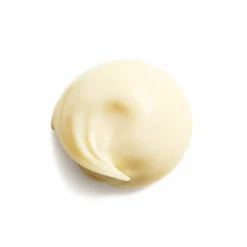 Shiseido Benefiance Wrinkle Smoothing Eye Cream 15 ml