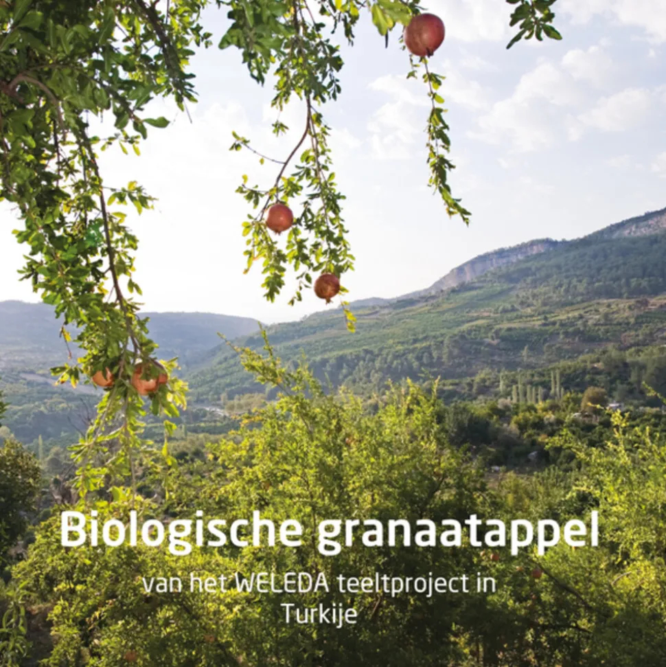 WELEDA Granaatappel Verstevigende Body Butter 150 ml