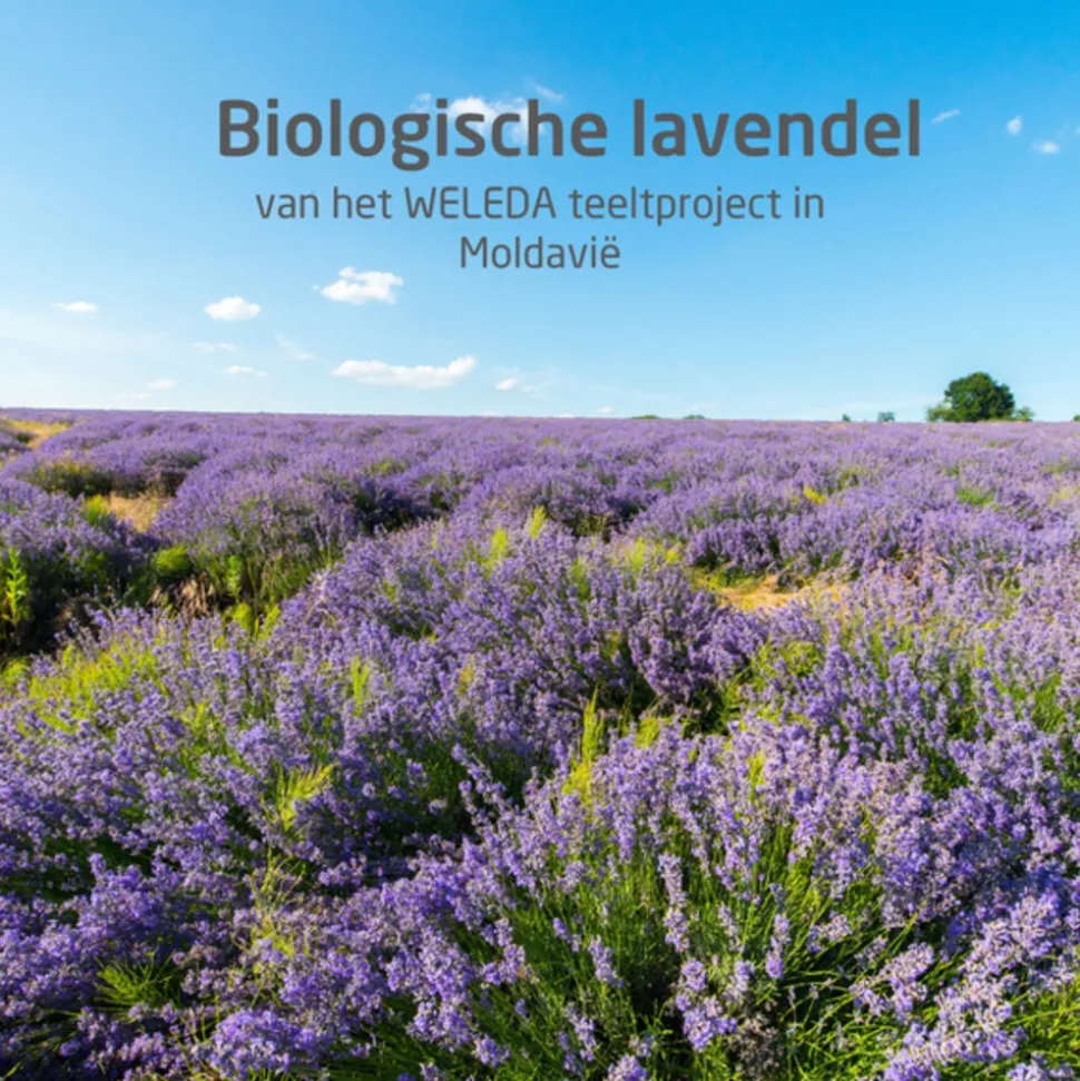 WELEDA Lavendel Ontspanningsbad 200 ml