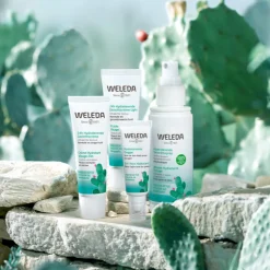 WELEDA Vijgencactus 24h Hydraterende Gezichtscrème Light 30 ml