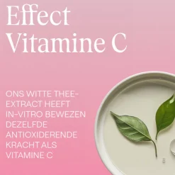 WELEDA Wilde Rozen & Witte Thee Vitaliserende Nachtcrème 40 ml