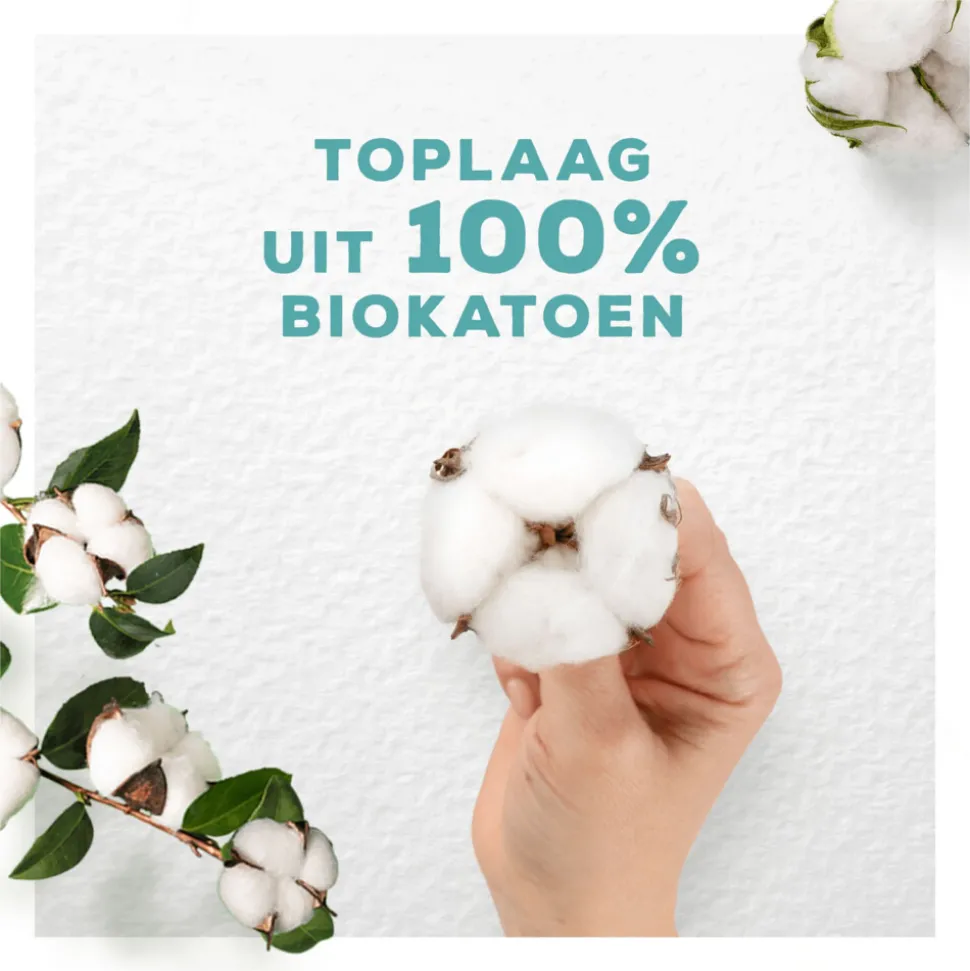10x Always Maandverband Bio Cotton Protection Ultra Normal met Vleugels 11 stuks