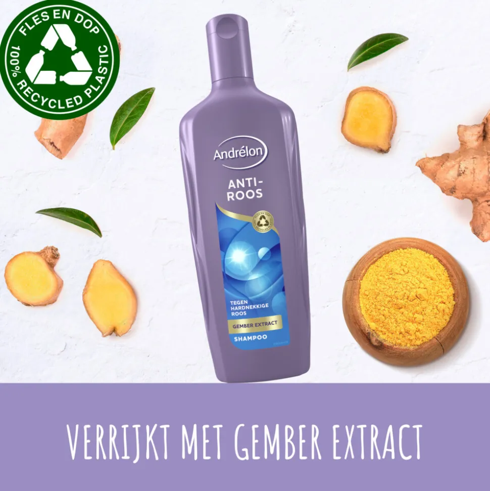 6x Andrélon Shampoo Anti Roos 300 ml