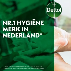6x Dettol Handzeep Hydraterend Aloë Vera 250 ml