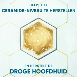 6x Head & Shoulders Anti-roos Shampoo DERMAxPRO Hydrateert 250 ml