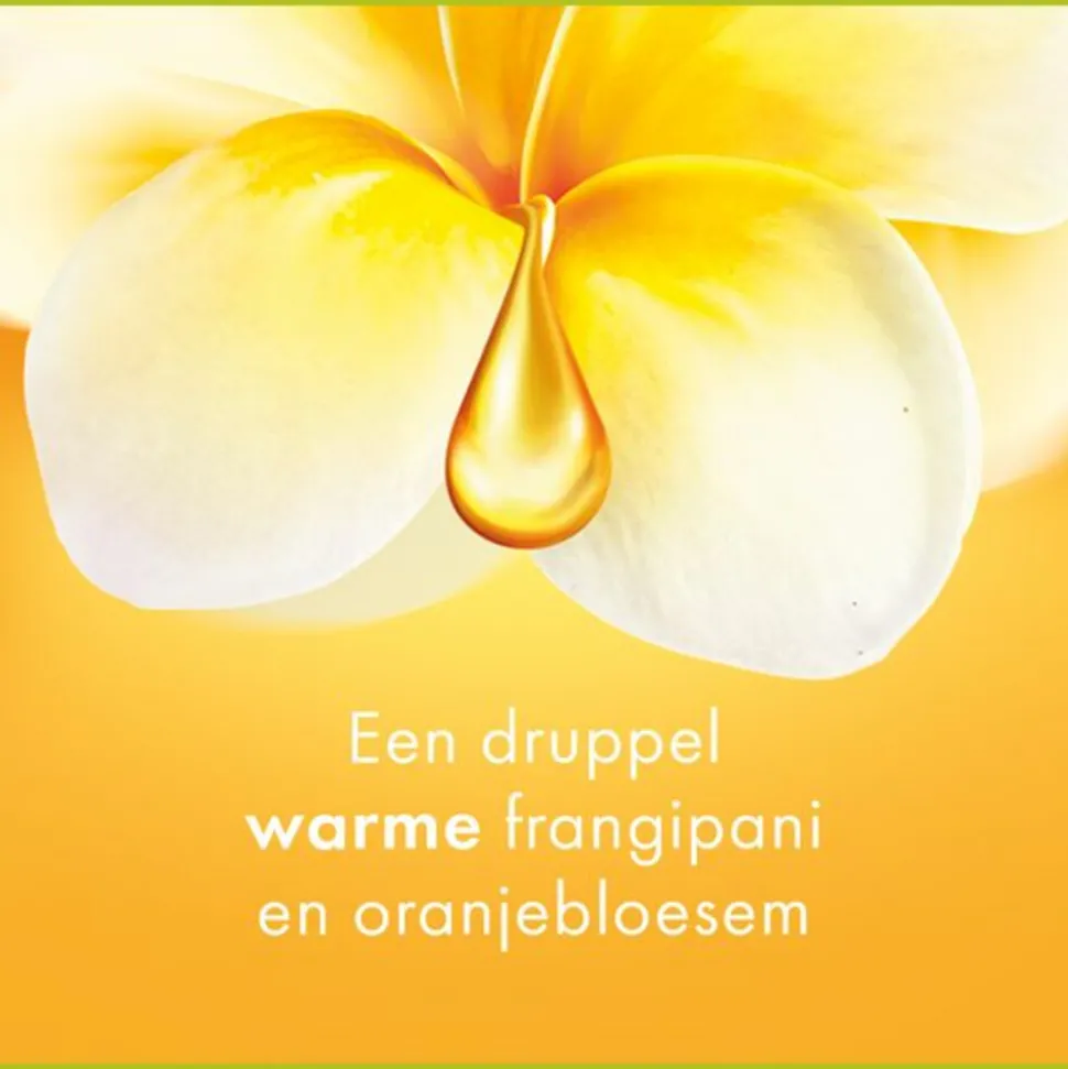12x Palmolive Douchegel Aroma Essences Forever Happy 250 ml