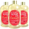 3x Treaclemoon Rouge Love Story Bad en Douchegel 500 ml