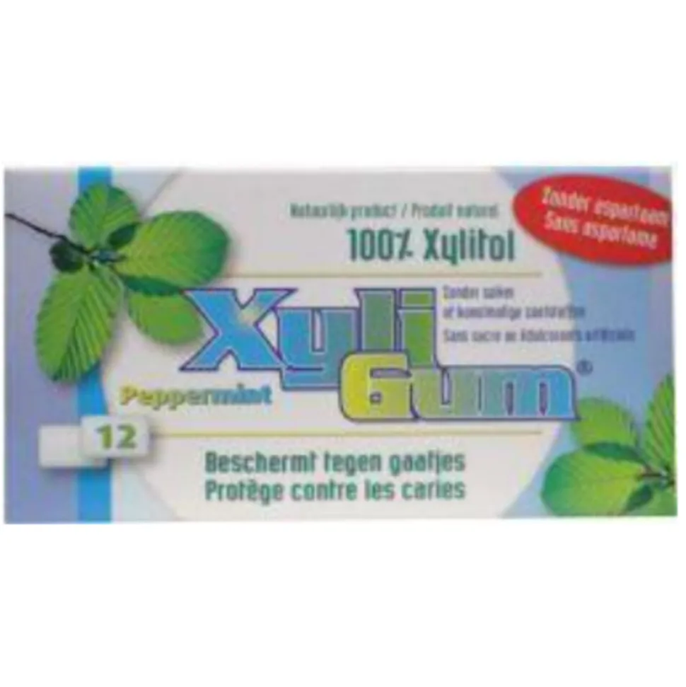 24x Xyligum Pepermunt 12 stuks